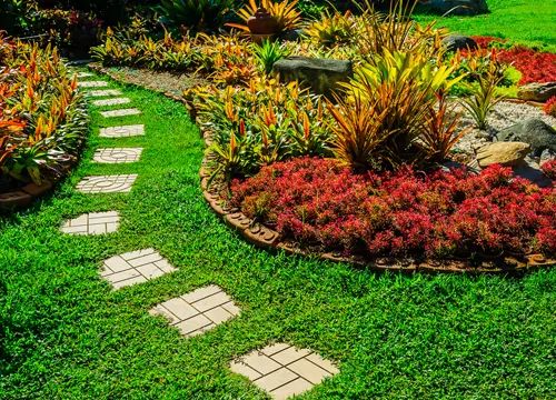 Customized lawn care plans by Lawn Guy BOP in Tauranga.