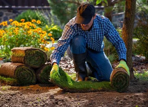 Local knowledge in lawn care by Lawn Guy BOP in Tauranga.