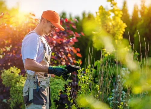 Reliable lawn care service provided by Lawn Guy BOP in Tauranga.