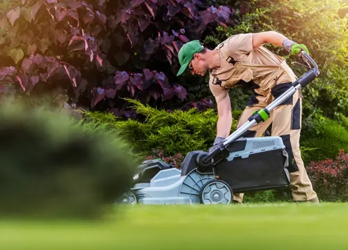 Reasons to choose Lawn Guy BOP for lawn care in Tauranga.